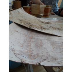 Workshop Birkenrinde